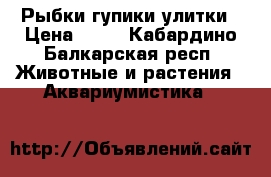 Рыбки гупики улитки › Цена ­ 10 - Кабардино-Балкарская респ. Животные и растения » Аквариумистика   